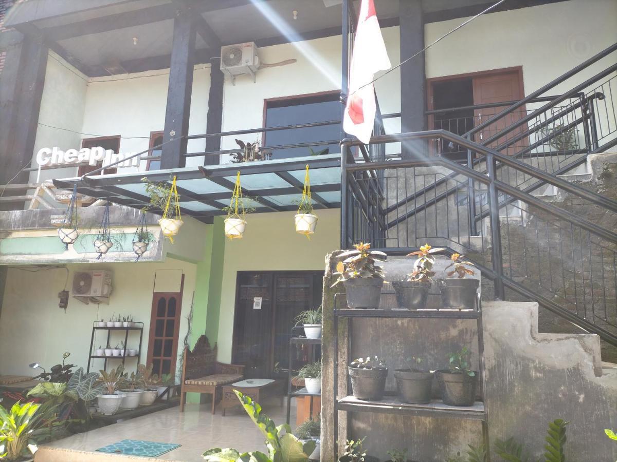 Cheap Inn Banyuwangi 外南梦 外观 照片