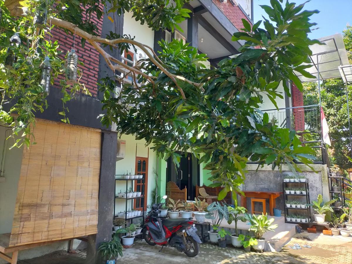 Cheap Inn Banyuwangi 外南梦 外观 照片